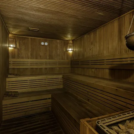 Levni & - Special Category