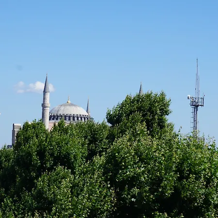 وسبا ليفني - فئة خاصة فندق