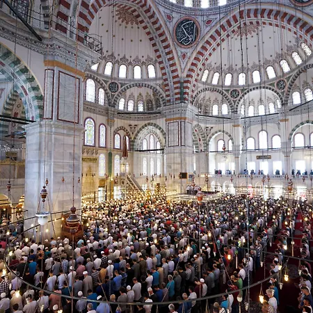 Levni & - Special Category 5*