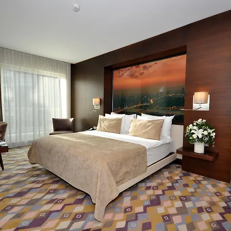Levni & - Special Category 4*