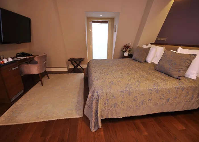 Levni & - Special Category 5*