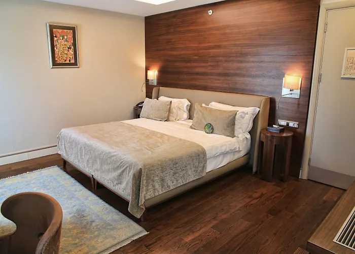 Отель Levni & - Special Category 5*