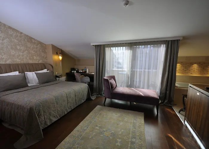 Levni & - Special Category 5*