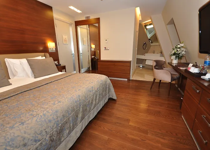 Levni & - Special Category 5*