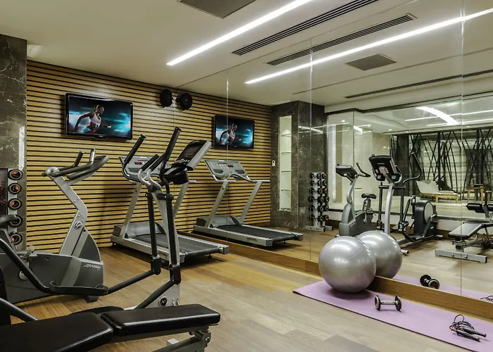 Levni & - Special Category