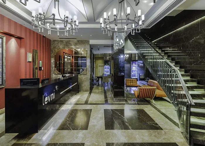 Levni & - Special Category 5*