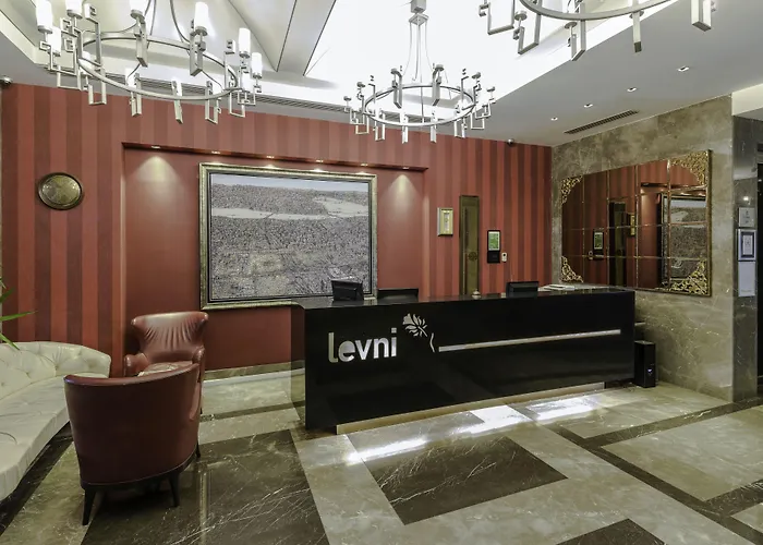 Levni & - Special Category